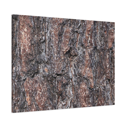 Textured Whispers of an Ancient Tree - Unique Frameless Canvas Wall Art