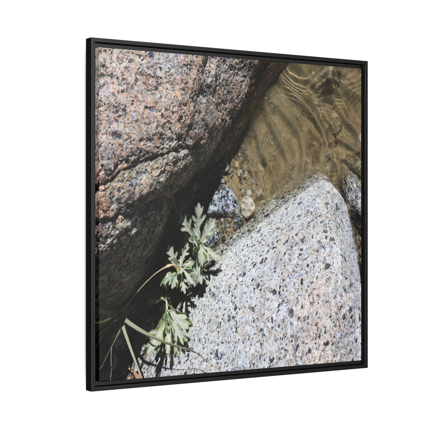 Resilience in Stone - Unique Stretched Canvas Wall Art - Art By Earth