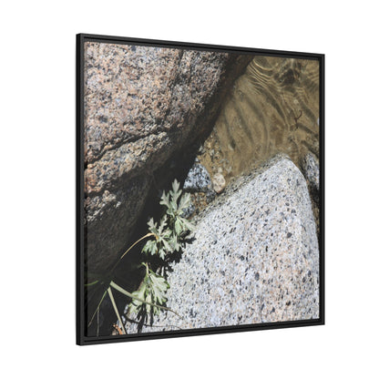 Resilience in Stone - Unique Stretched Canvas Wall Art - Art By Earth
