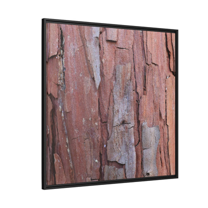 Peeling Bark - Unique Stretched Canvas Wall Art - Art By Earth