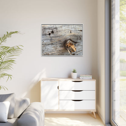 Weathered Wood Texture - Unique Stretched Canvas Wall Art - Art By Earth