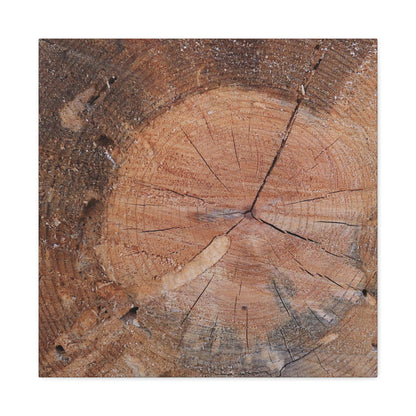 Timber Tale - Unique Frameless Canvas Wall Art - Art By Earth