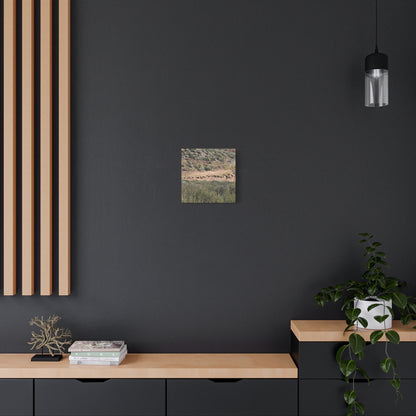 Ancient Dwellings in the Desert Valley - Unique Frameless Canvas Wall Art - Art By Earth