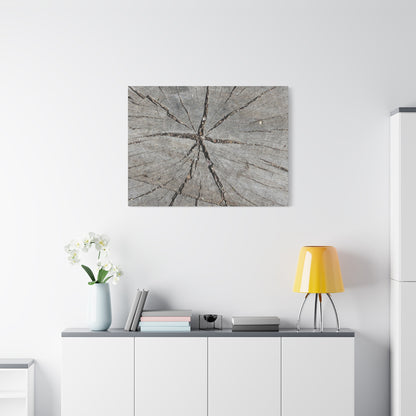 Cracked Chronicle - Unique Frameless Canvas Wall Art - Art By Earth