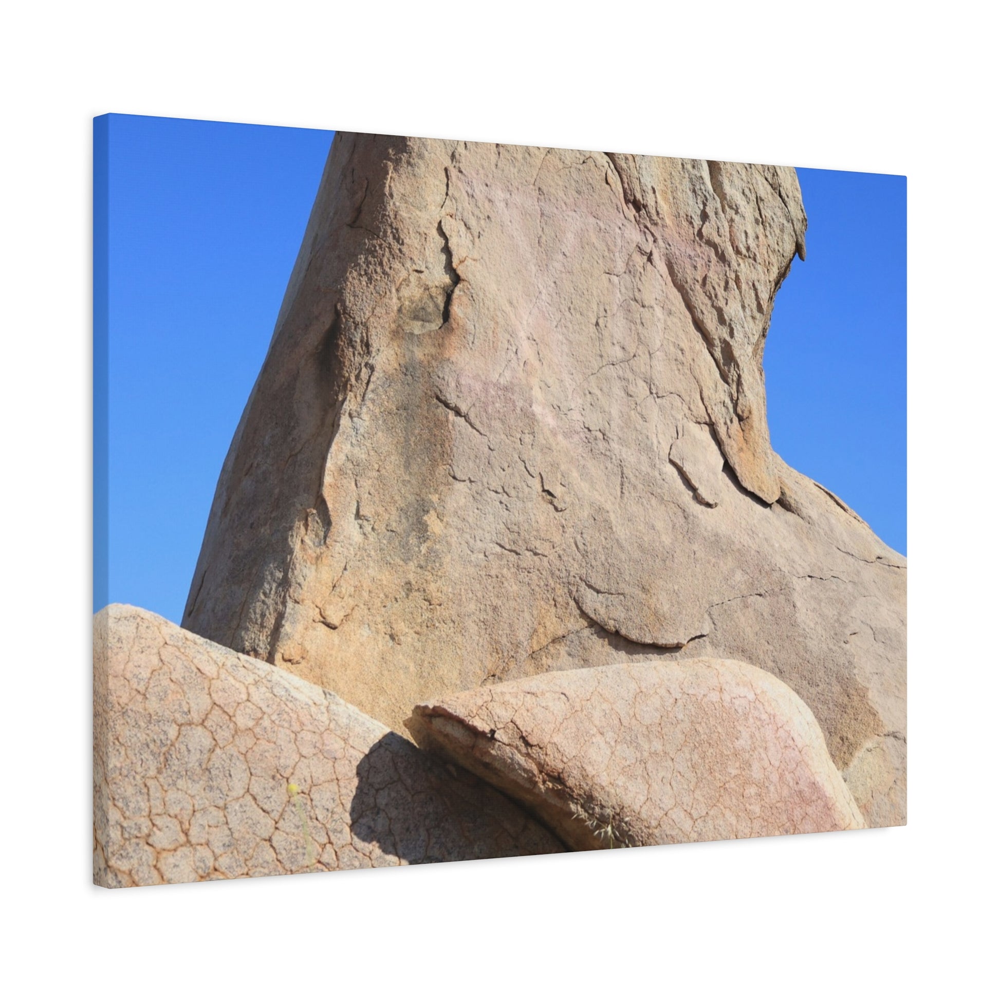 Boulder's Embrace - Unique Frameless Canvas Wall Art - Art By Earth