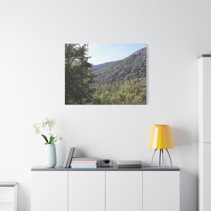 Mountain Vista Through Forest - Unique Frameless Canvas Wall Art