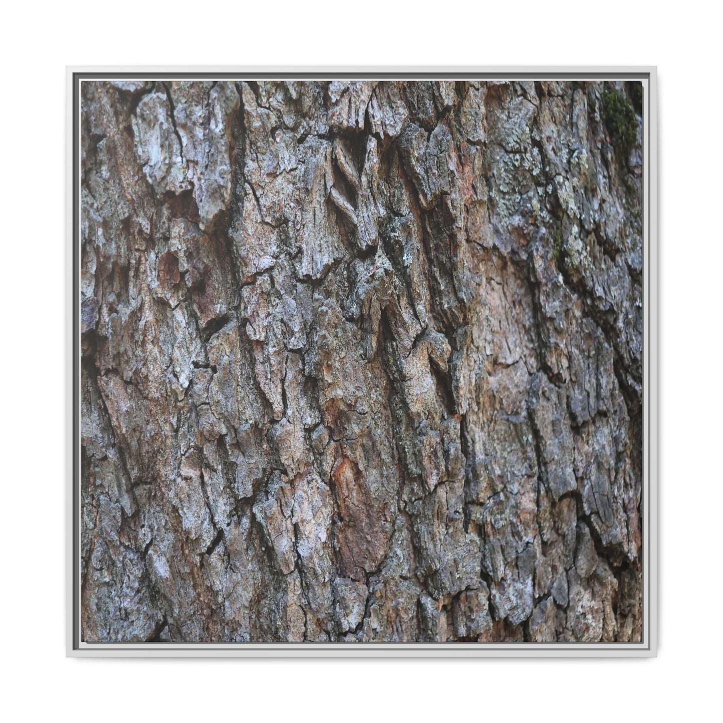 Woodland Skin - Unique Stretched Canvas Wall Art - Art By Earth