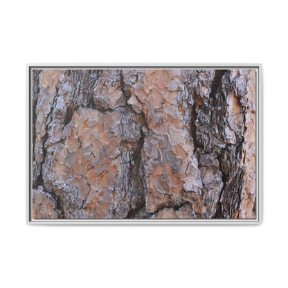 Tree Skin Symphony - Unique Stretched Canvas Wall Art - Art By Earth