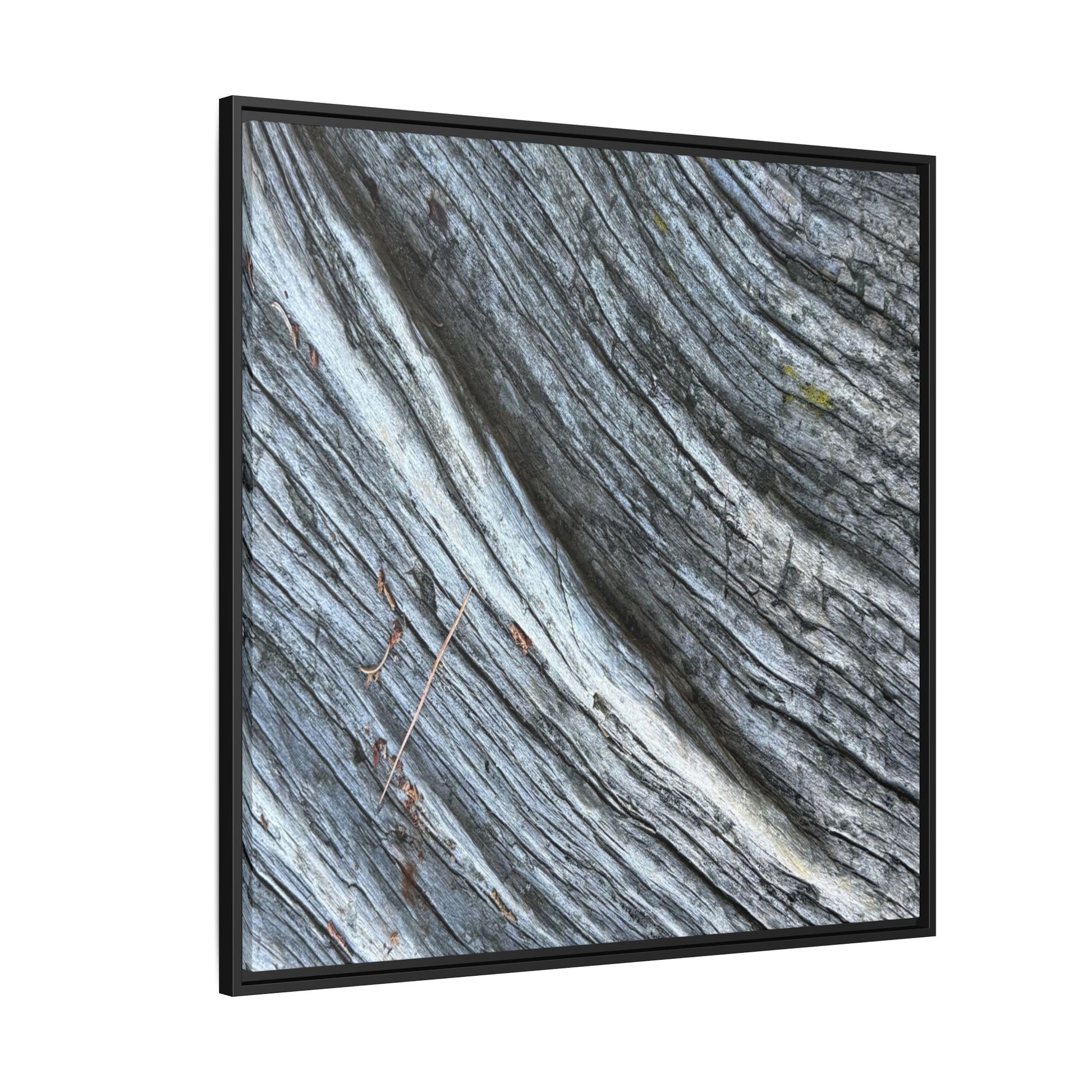 Time's Carved Path - Unique Stretched Canvas Wall Art - Art By Earth
