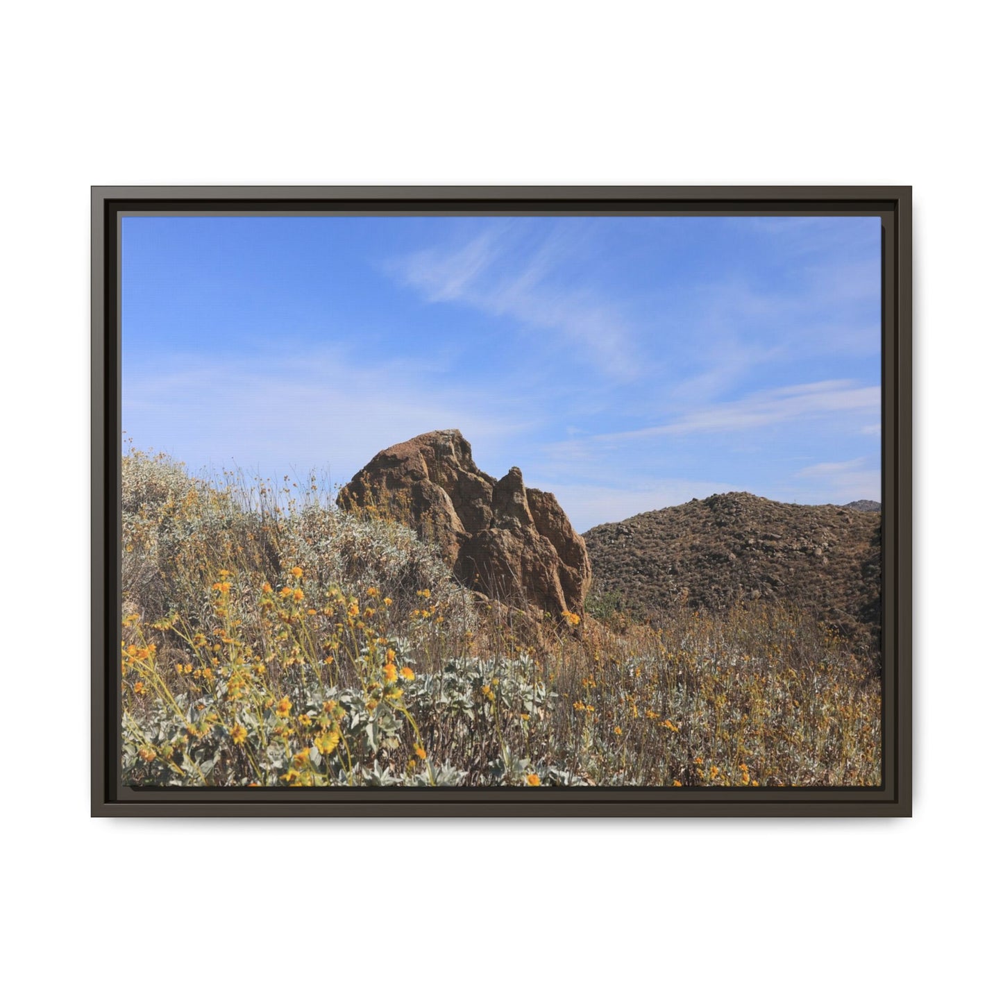 Golden Flowers in Arid Landscape - Unique Stretched Canvas Wall Art - Art By Earth