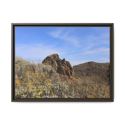 Golden Flowers in Arid Landscape - Unique Stretched Canvas Wall Art - Art By Earth