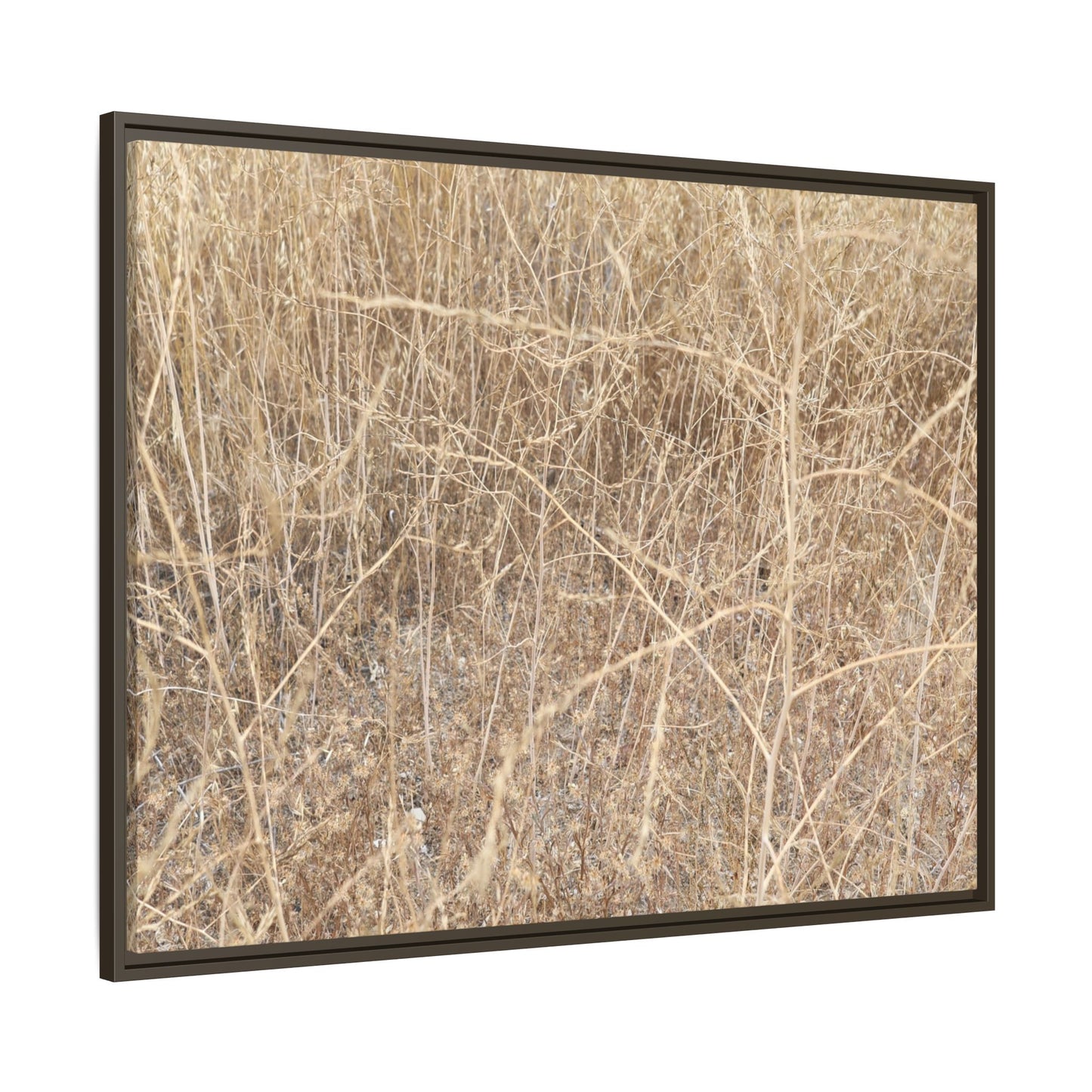 Golden Stalks - Unique Stretched Canvas Wall Art - Art By Earth