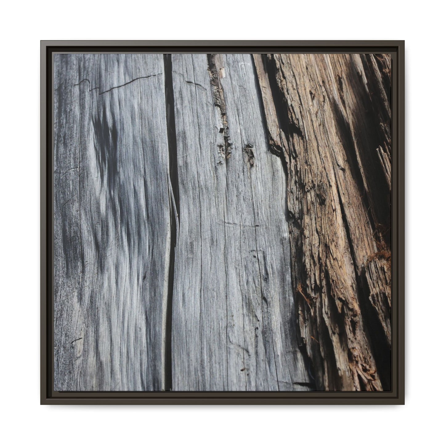 Wood's Lament - Unique Stretched Canvas Wall Art - Art By Earth