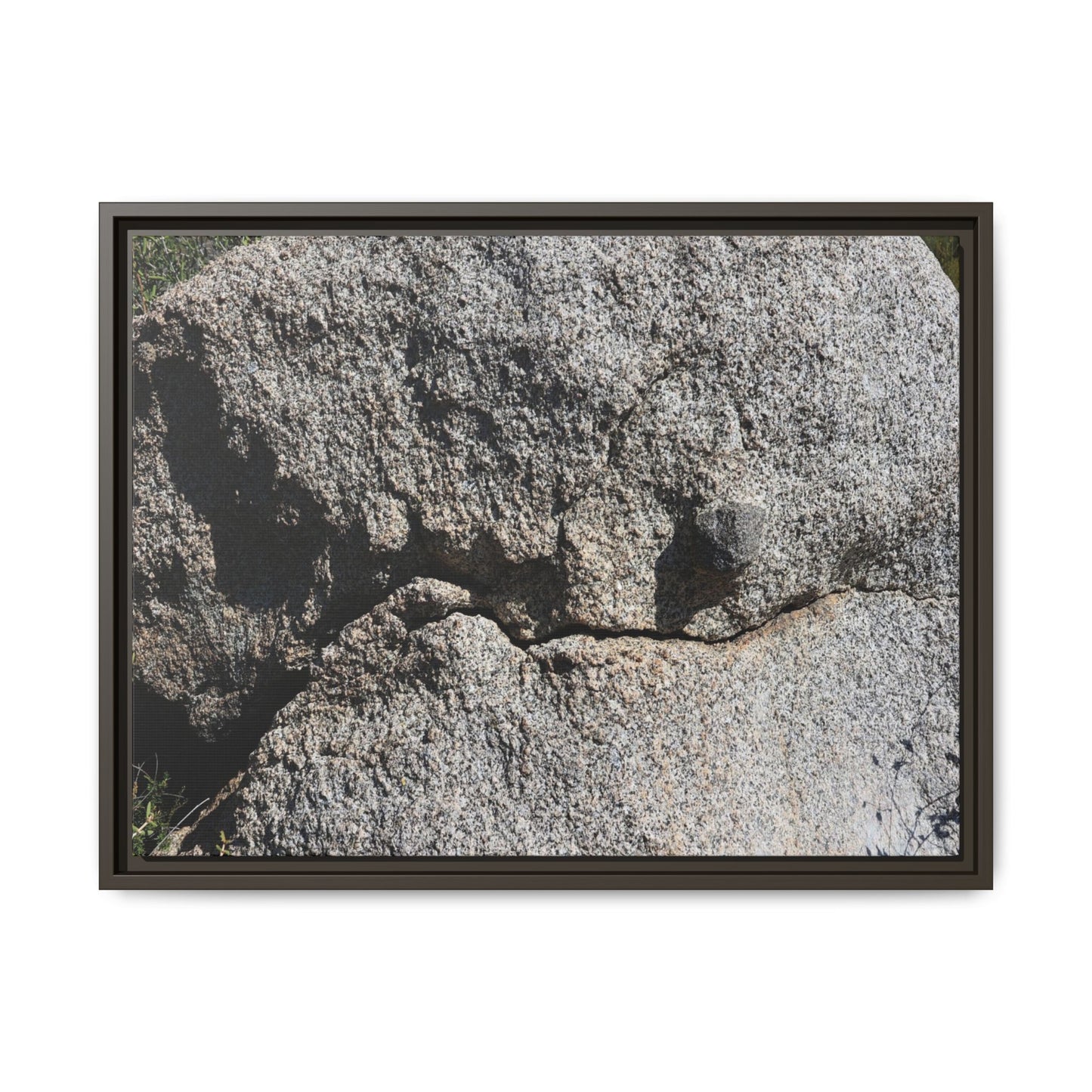 Stone Skull in Desert - Unique Stretched Canvas Wall Art
