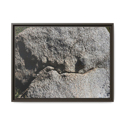 Stone Skull in Desert - Unique Stretched Canvas Wall Art
