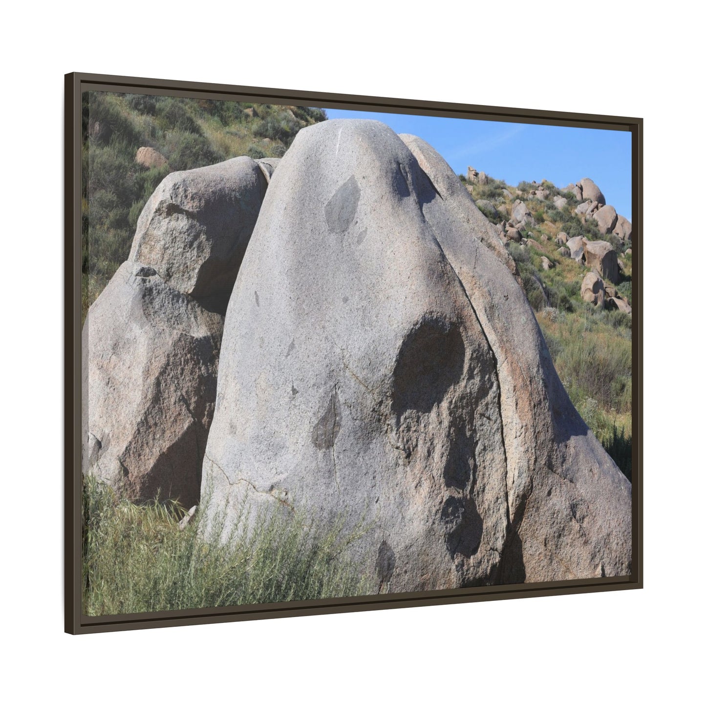 Skull Rock Desert - Unique Stretched Canvas Wall Art - Art By Earth