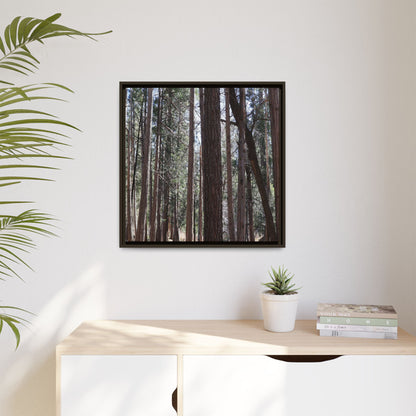 Forest Cathedral - Unique Stretched Canvas Wall Art - Art By Earth