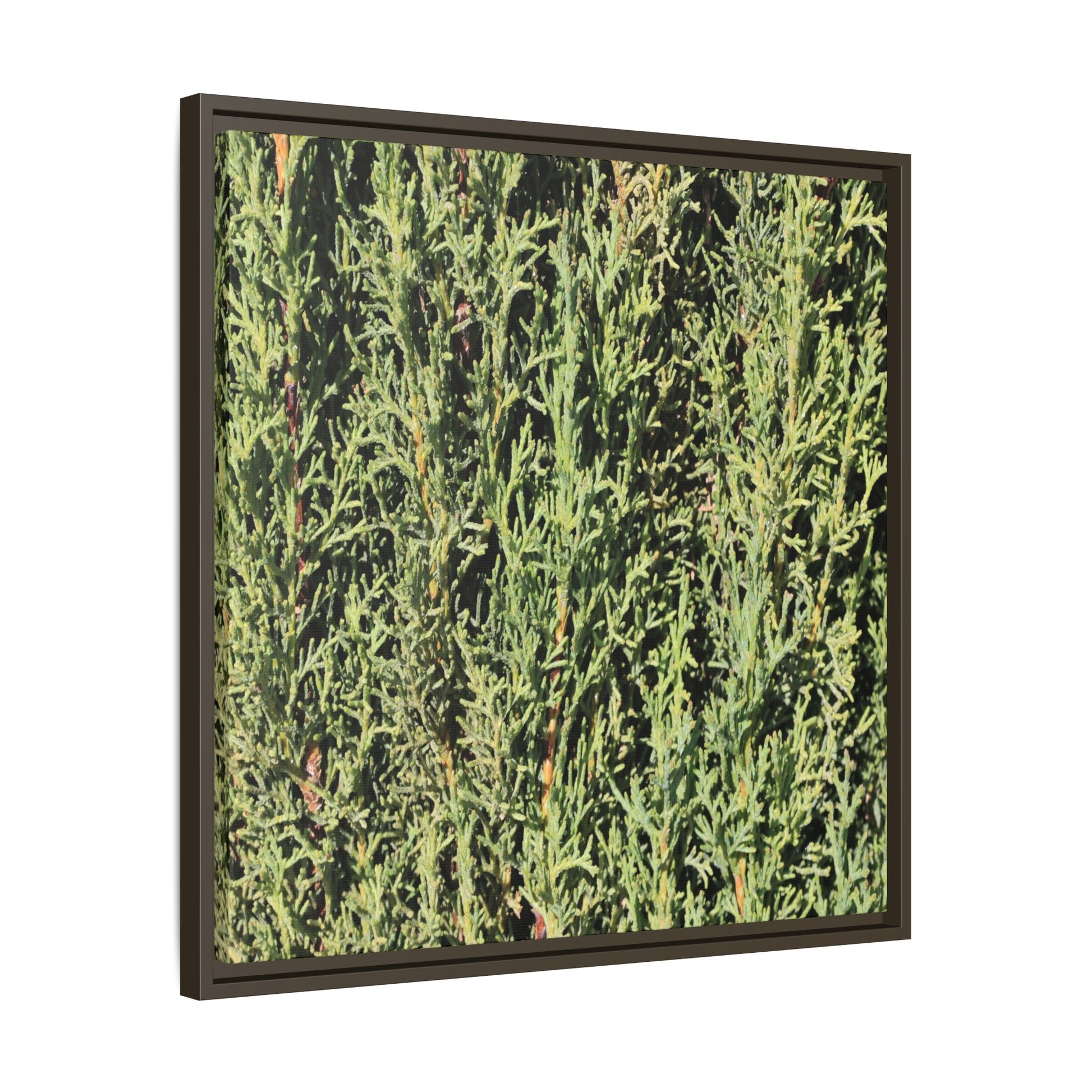 Emerald Labyrinth - Unique Stretched Canvas Wall Art - Art By Earth