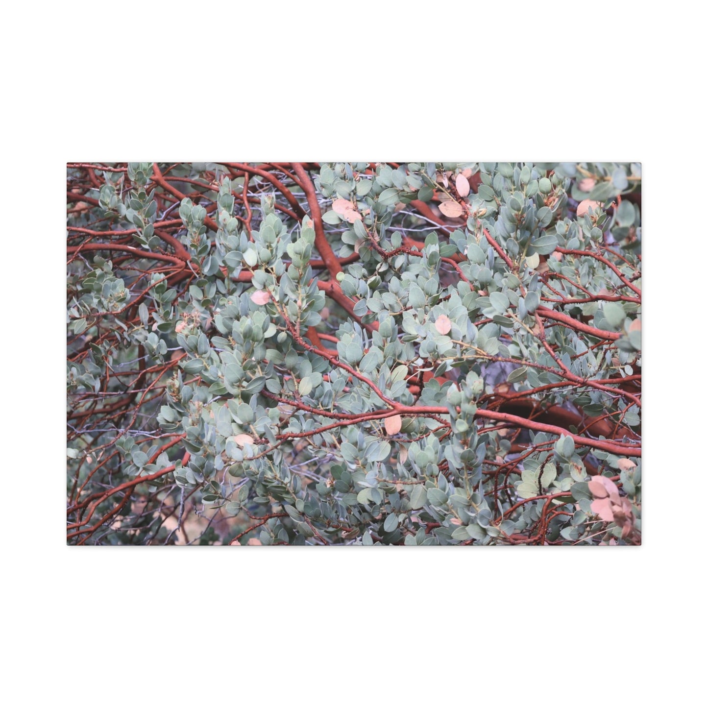 Whispers of Silver and Rust - Unique Frameless Canvas Wall Art - Art By Earth