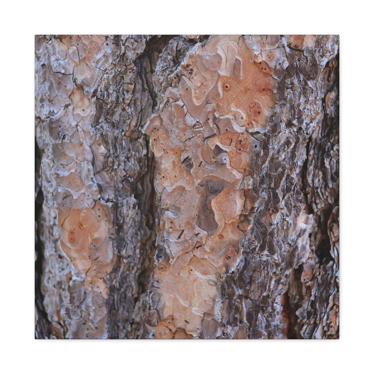 Terracotta Textures - Unique Frameless Canvas Wall Art - Art By Earth