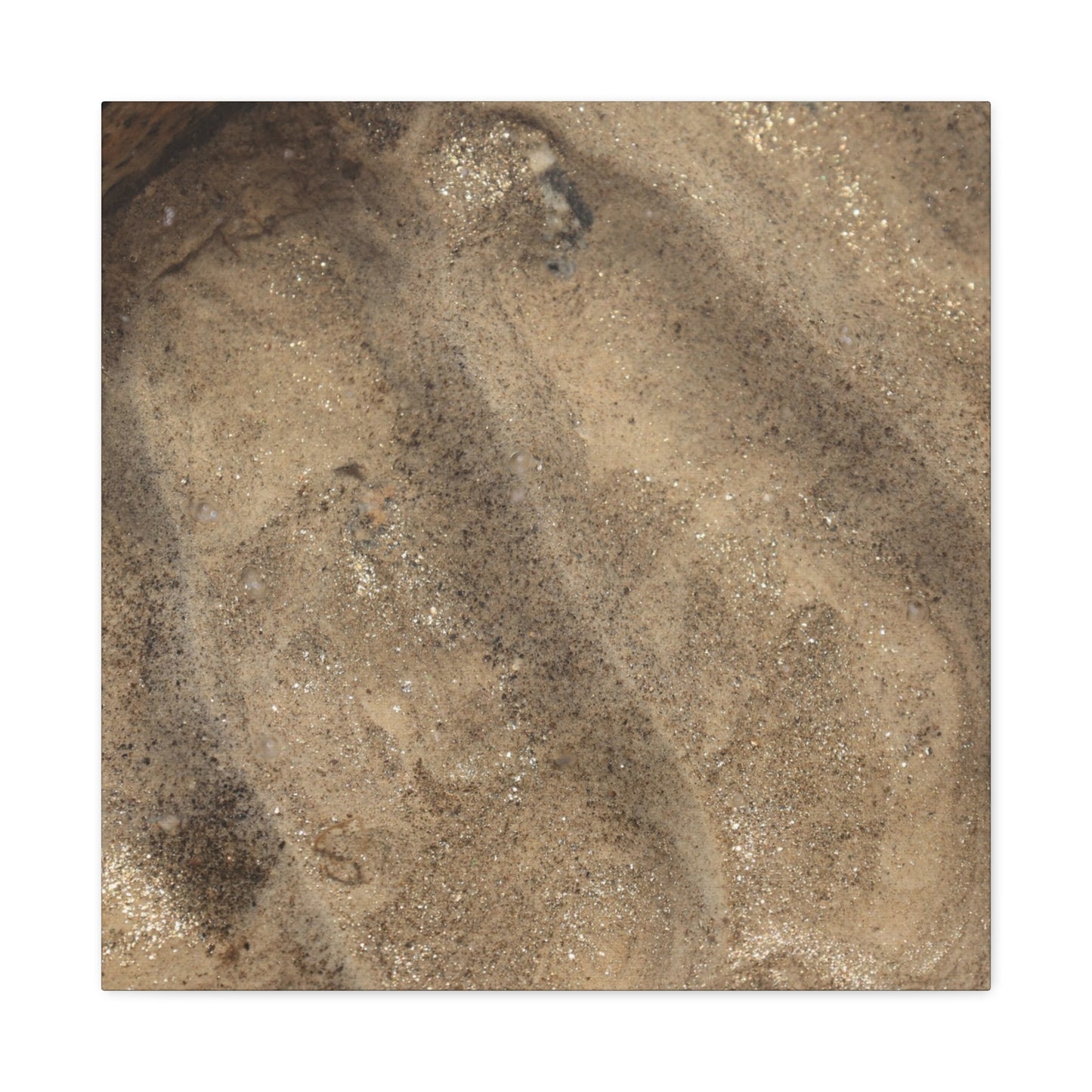 Shallow Waters - Unique Frameless Canvas Wall Art - Art By Earth