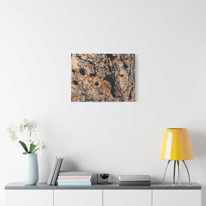 Tree Bark Mosaic - Unique Frameless Canvas Wall Art - Art By Earth