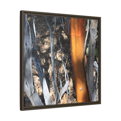 Burnt Trees and Golden Trunk - Unique Stretched Canvas Wall Art