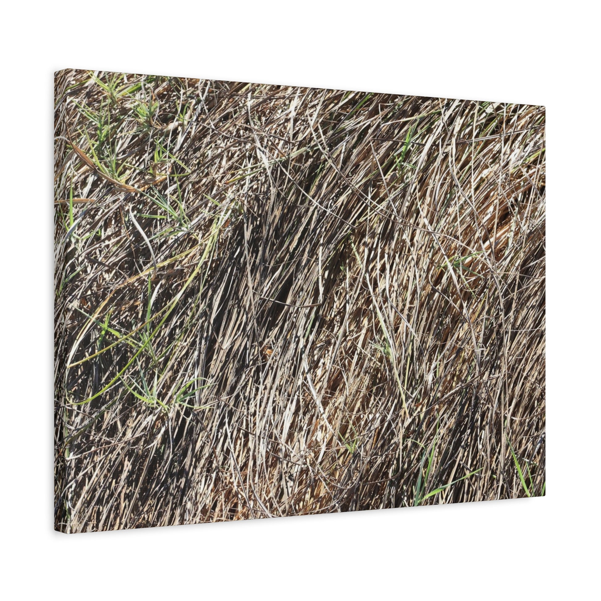 Tangled Wilderness - Unique Stretched Canvas Wall Art - Art By Earth