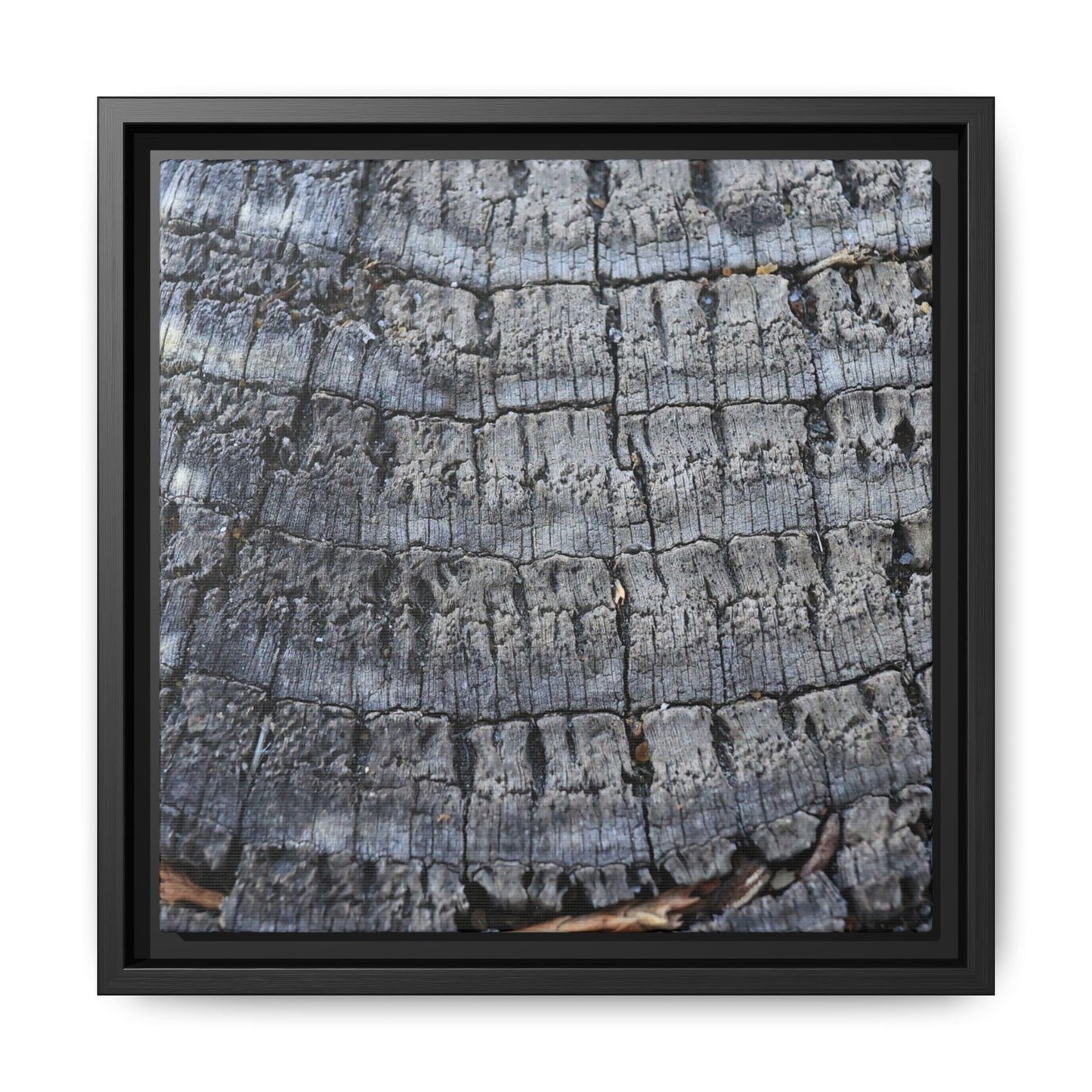 Charred Memories - Unique Stretched Canvas Wall Art - Art By Earth