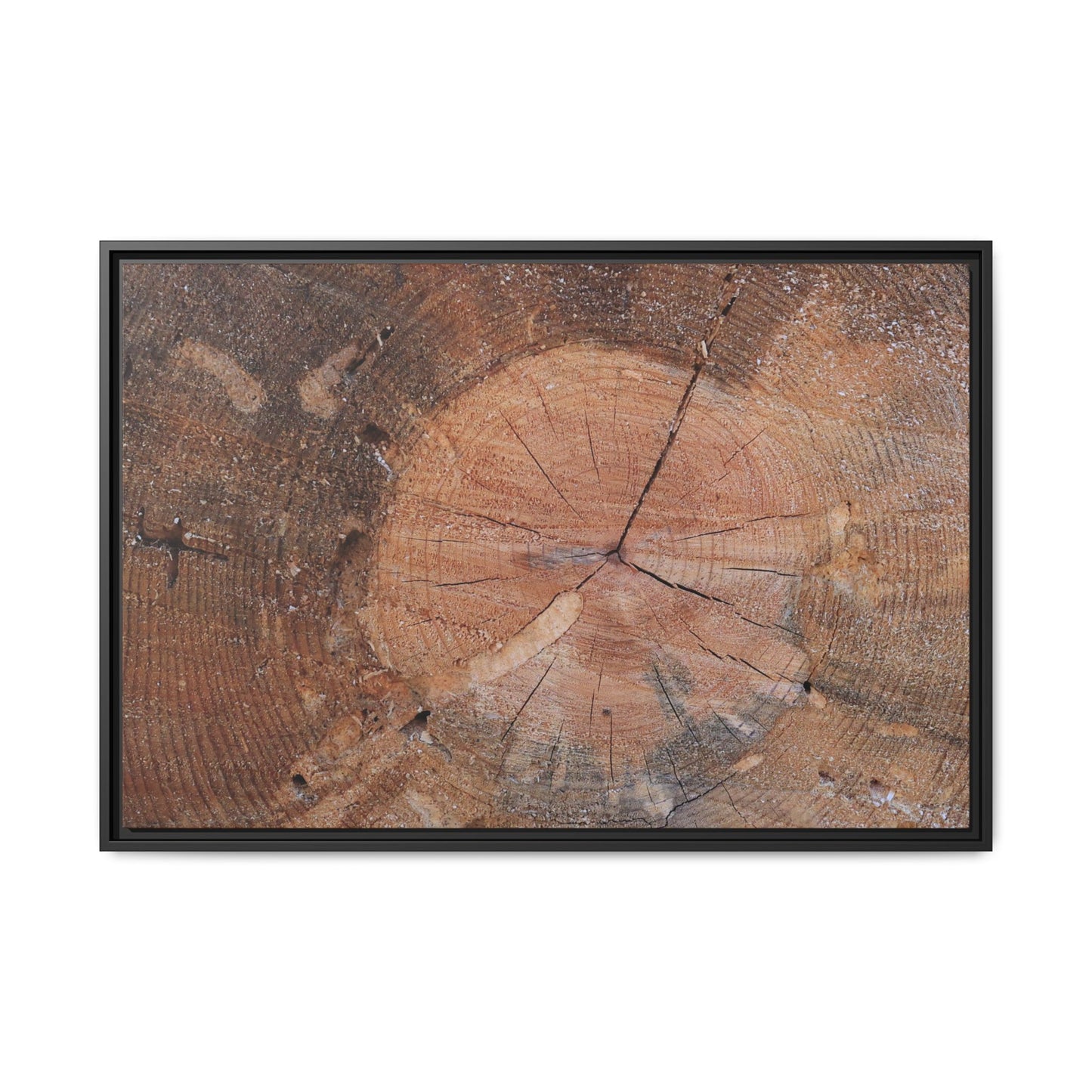 Concentric Memories - Unique Stretched Canvas Wall Art - Art By Earth