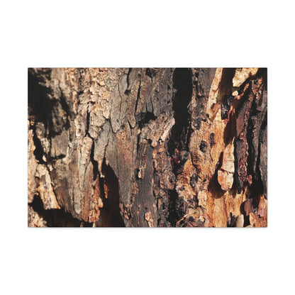 Wooden Terrain - Unique Frameless Canvas Wall Art - Art By Earth