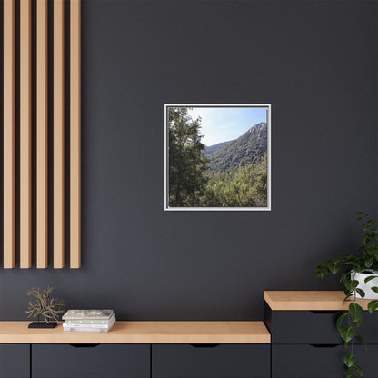 Mountain Valley Forest - Unique Stretched Canvas Wall Art