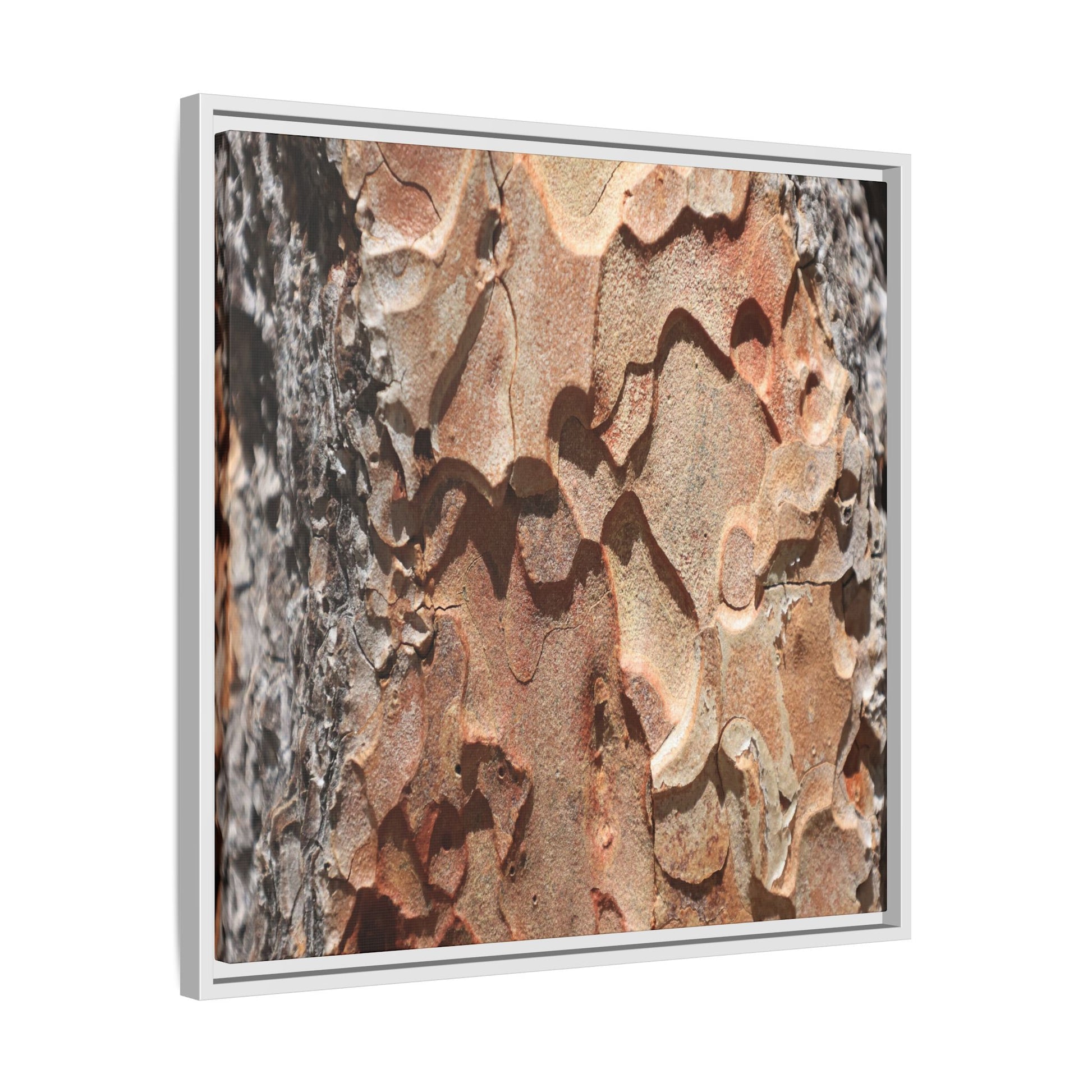 Rust and Stone - Unique Stretched Canvas Wall Art - Art By Earth