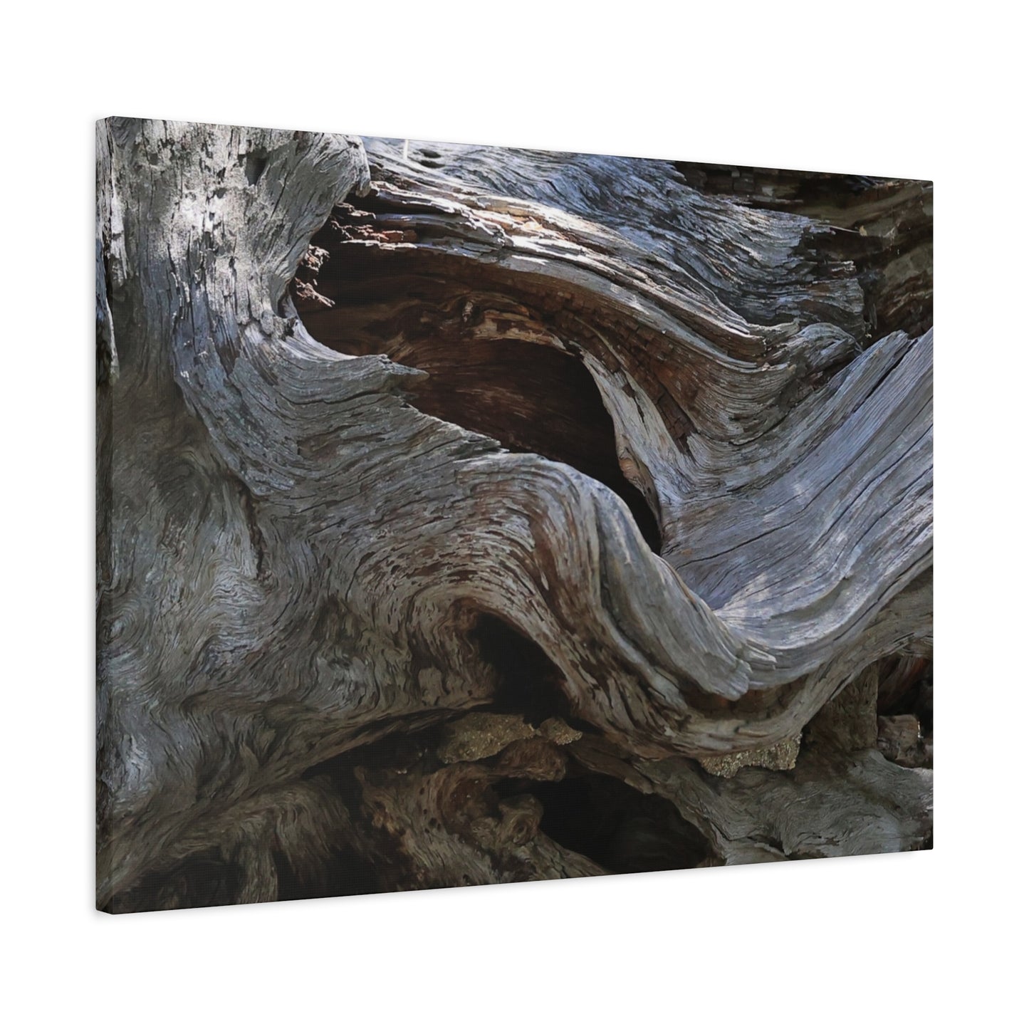 Twisted Fate - Unique Frameless Canvas Wall Art - Art By Earth