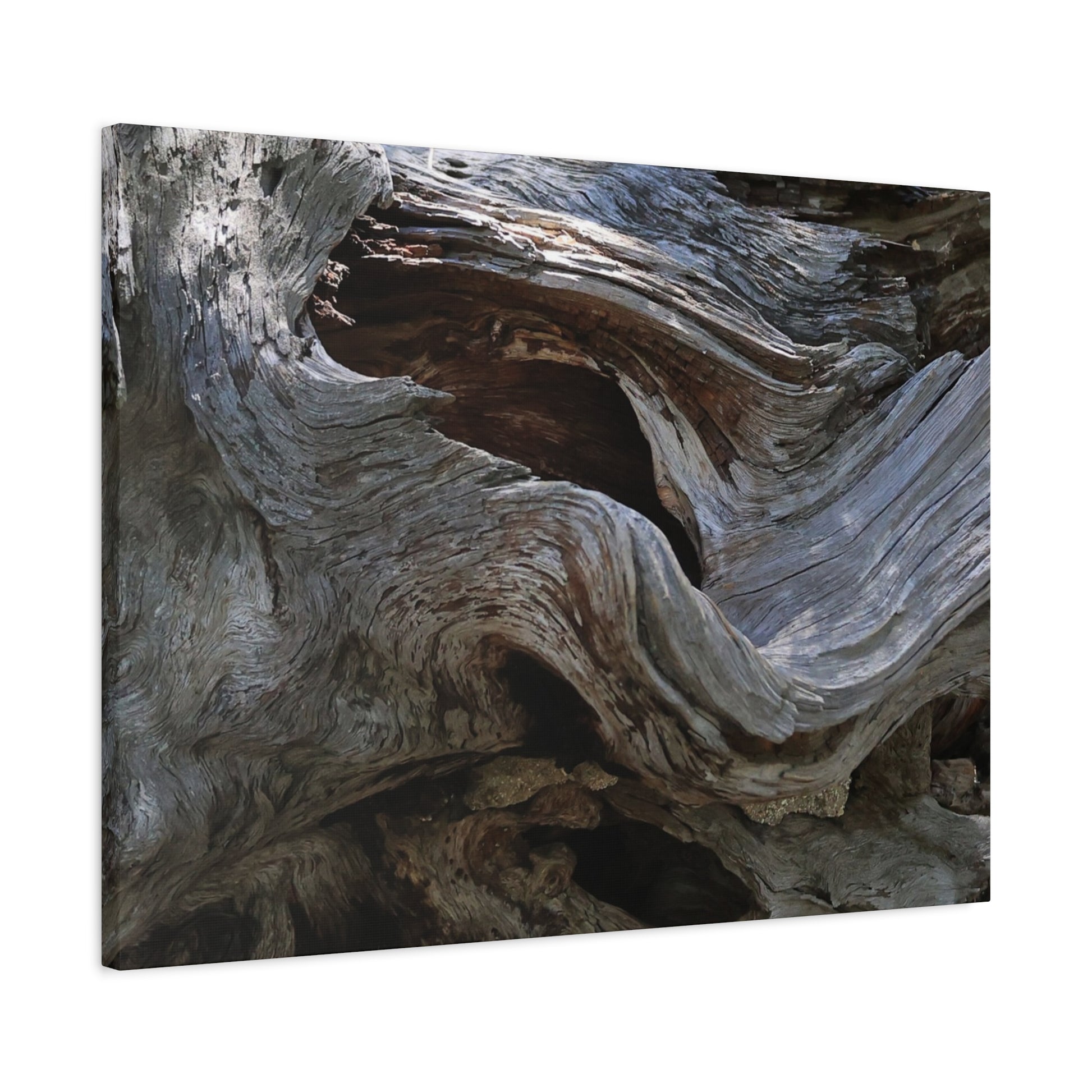 Twisted Fate - Unique Frameless Canvas Wall Art - Art By Earth