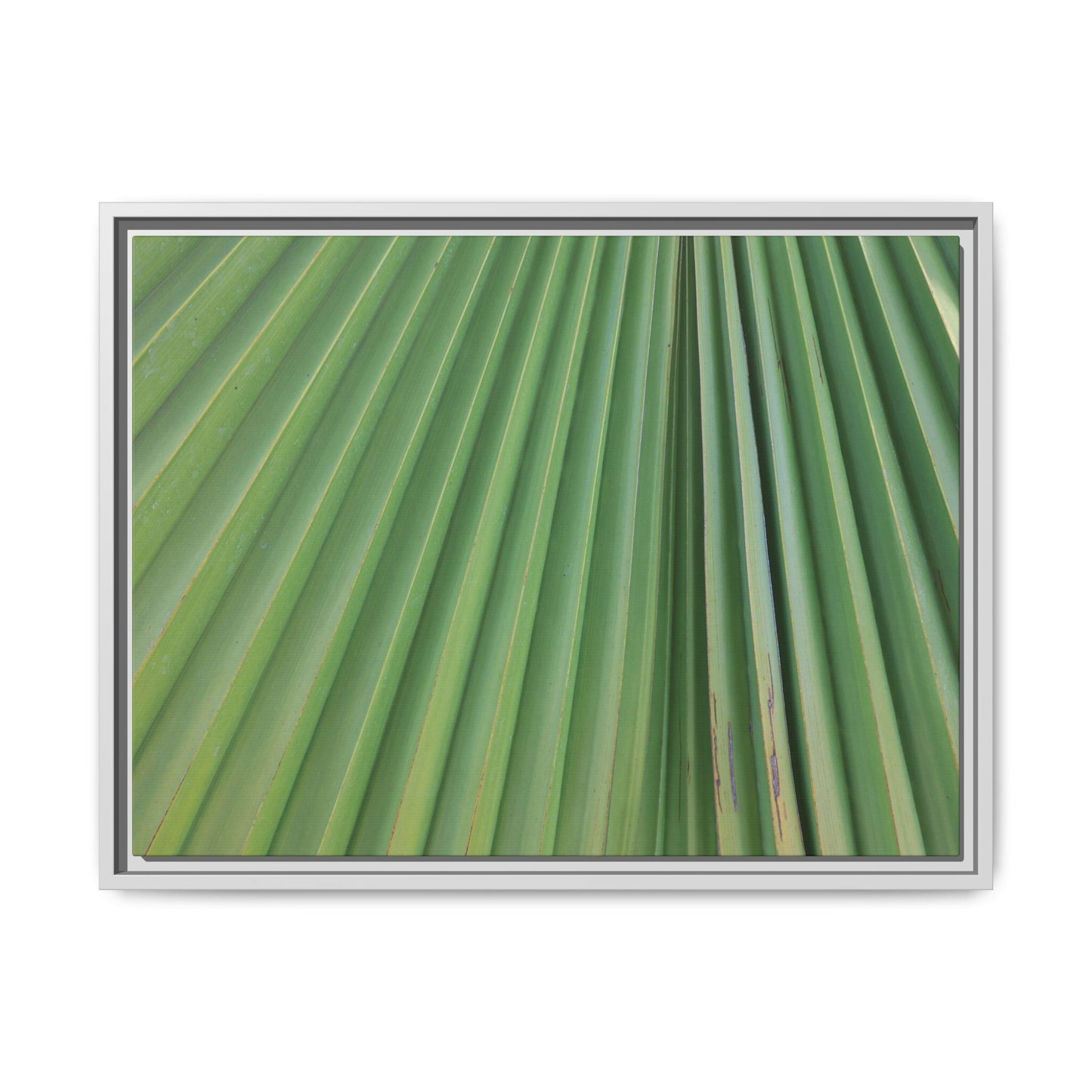 Emerald Rays - Unique Stretched Canvas Wall Art - Art By Earth