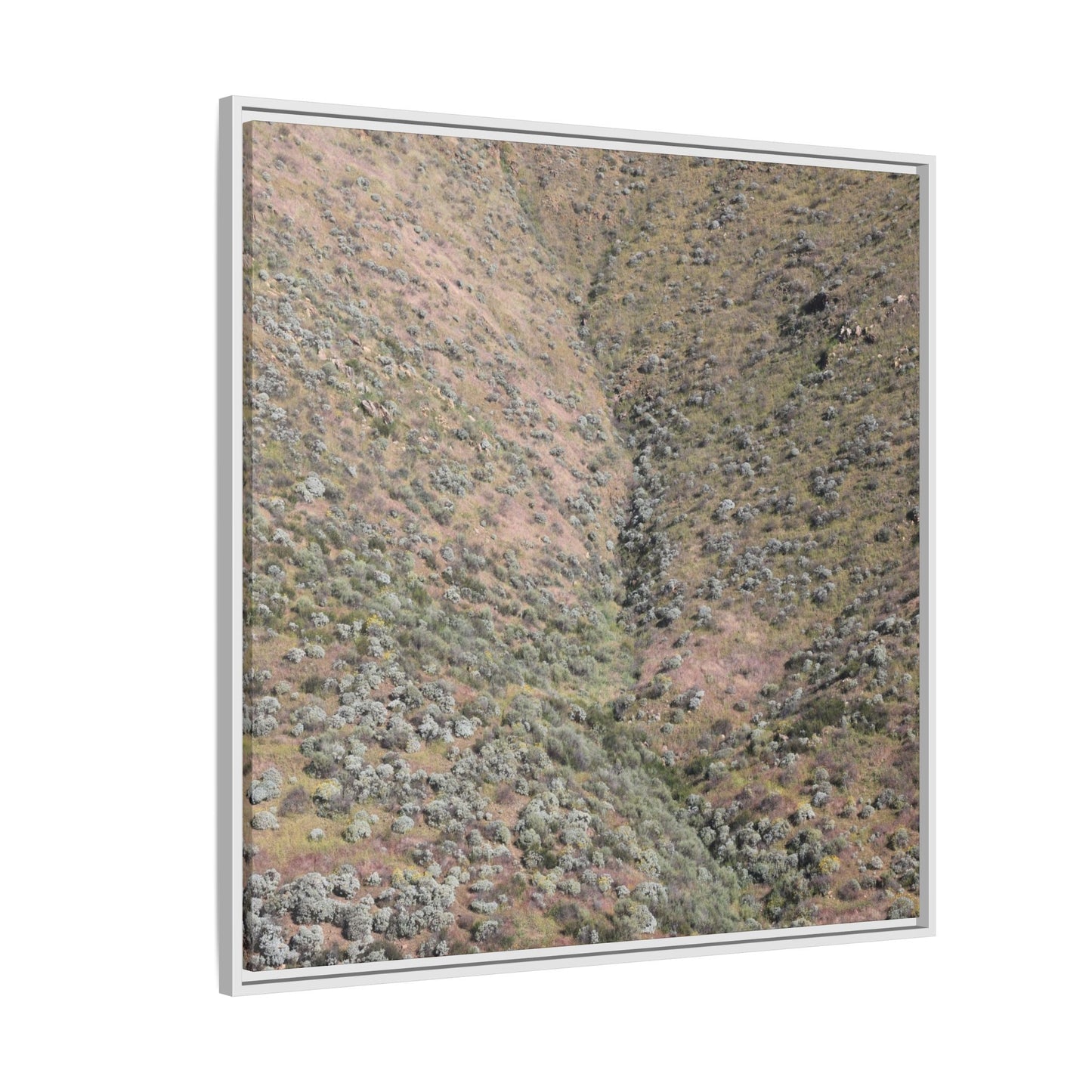 Mountain Slope with Desert Vegetation - Unique Stretched Canvas Wall Art - Art By Earth