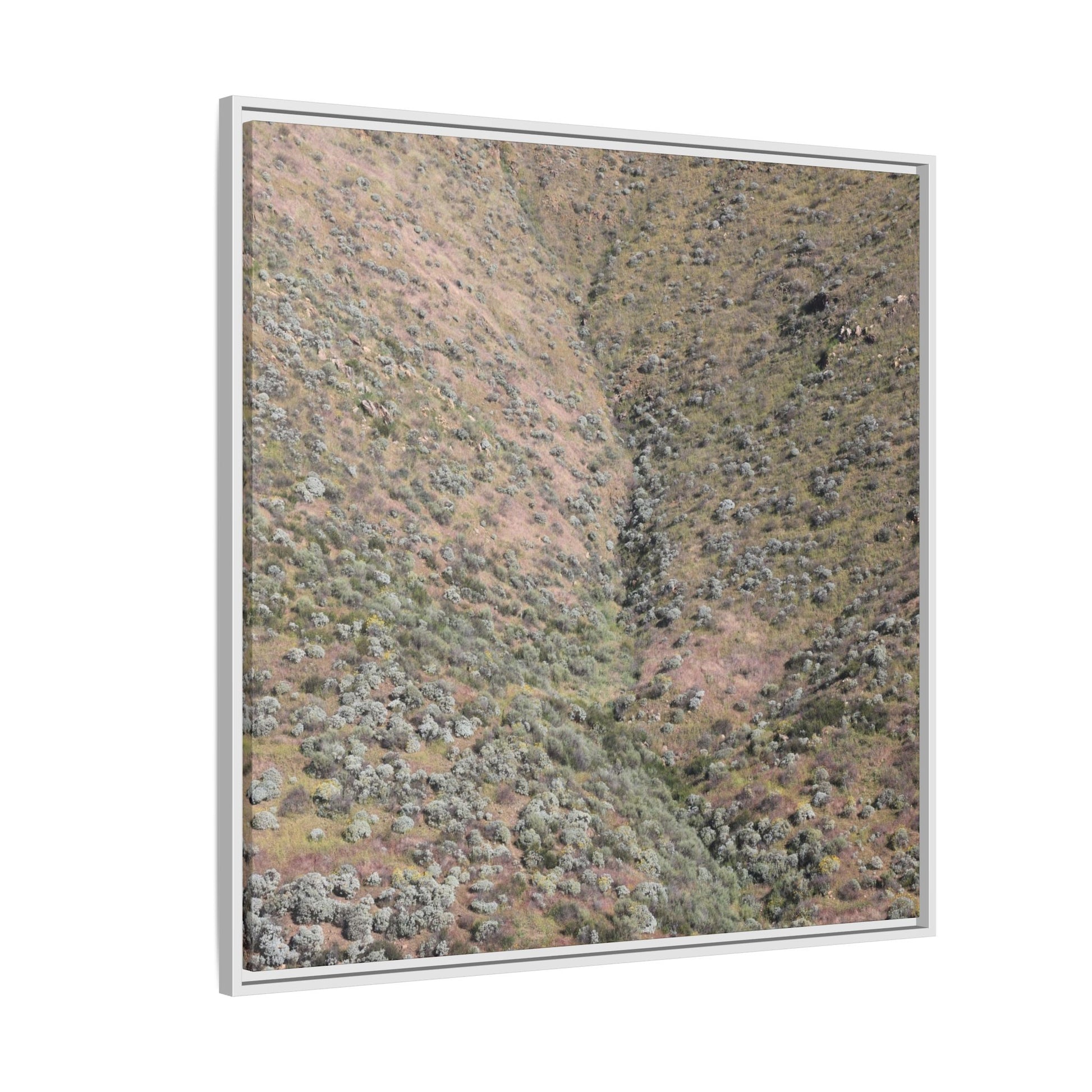 Mountain Slope with Desert Vegetation - Unique Stretched Canvas Wall Art - Art By Earth