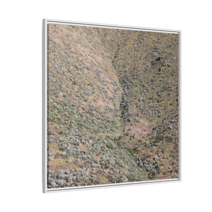 Mountain Slope with Desert Vegetation - Unique Stretched Canvas Wall Art - Art By Earth