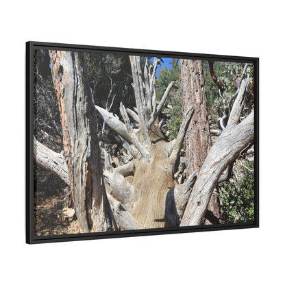 Forest Sentinels - Unique Stretched Canvas Wall Art