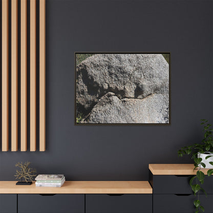Stone Skull in Desert - Unique Stretched Canvas Wall Art