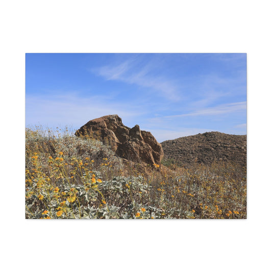 Desert Bloom - Unique Frameless Canvas Wall Art - Art By Earth