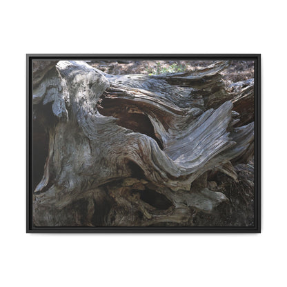 Twisted Memories - Unique Stretched Canvas Wall Art - Art By Earth