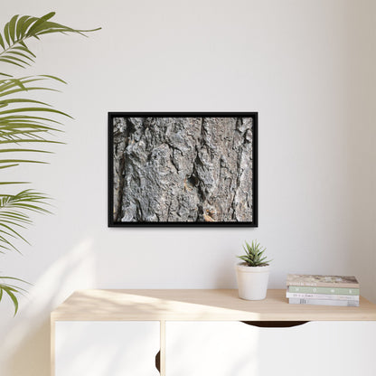 Crusty Exterior - Unique Stretched Canvas Wall Art - Art By Earth