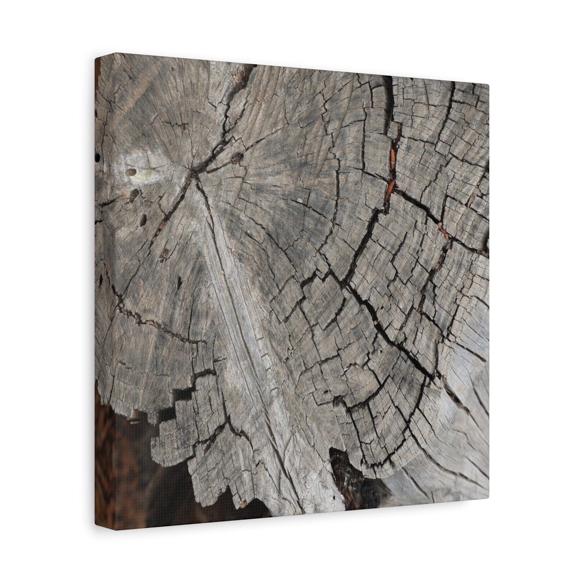 Cracked Memories - Unique Frameless Canvas Wall Art - Art By Earth