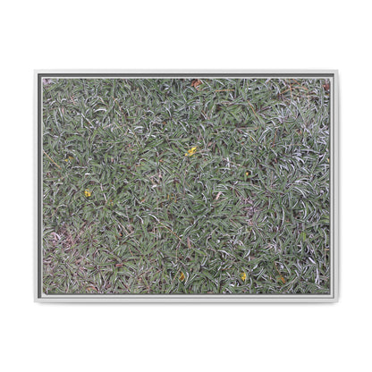Grassy Texture - Unique Stretched Canvas Wall Art - Art By Earth