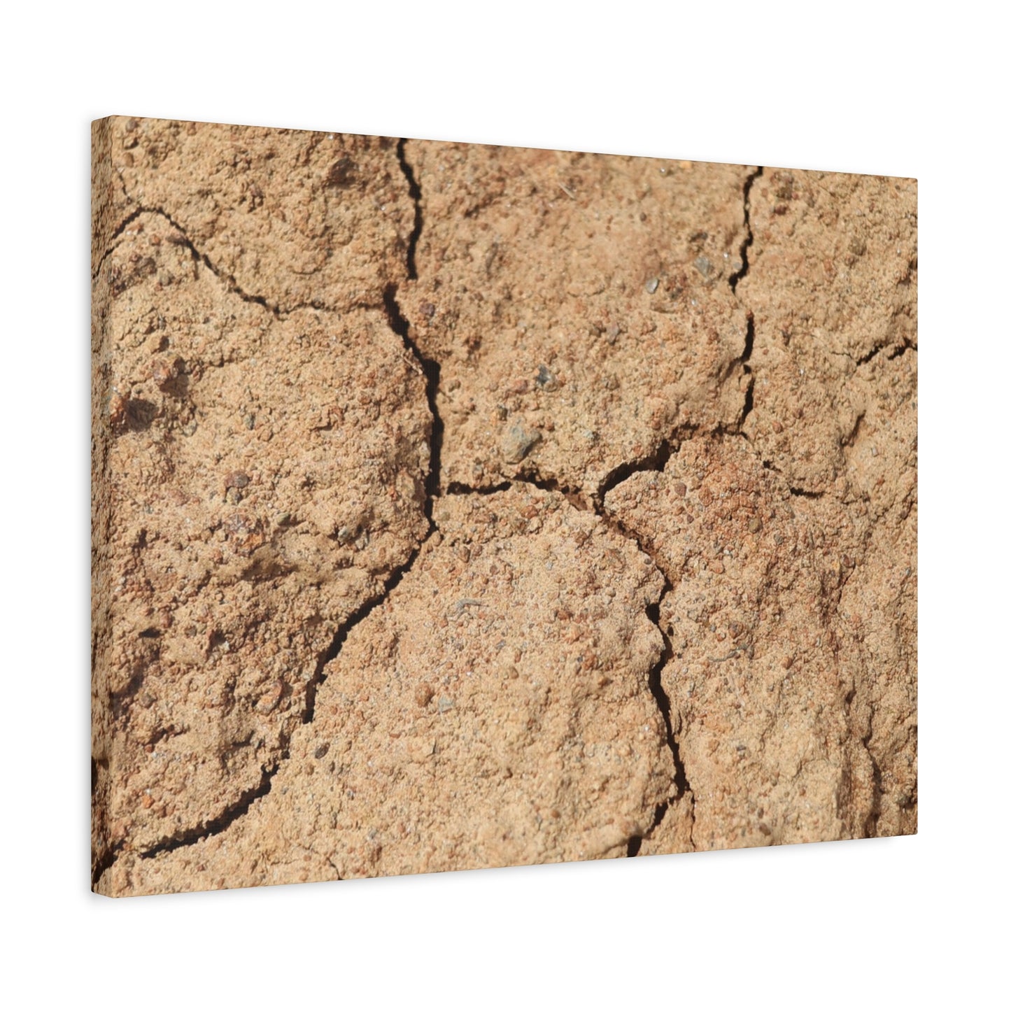 Cracked Earth's Lament - Unique Frameless Canvas Wall Art - Art By Earth