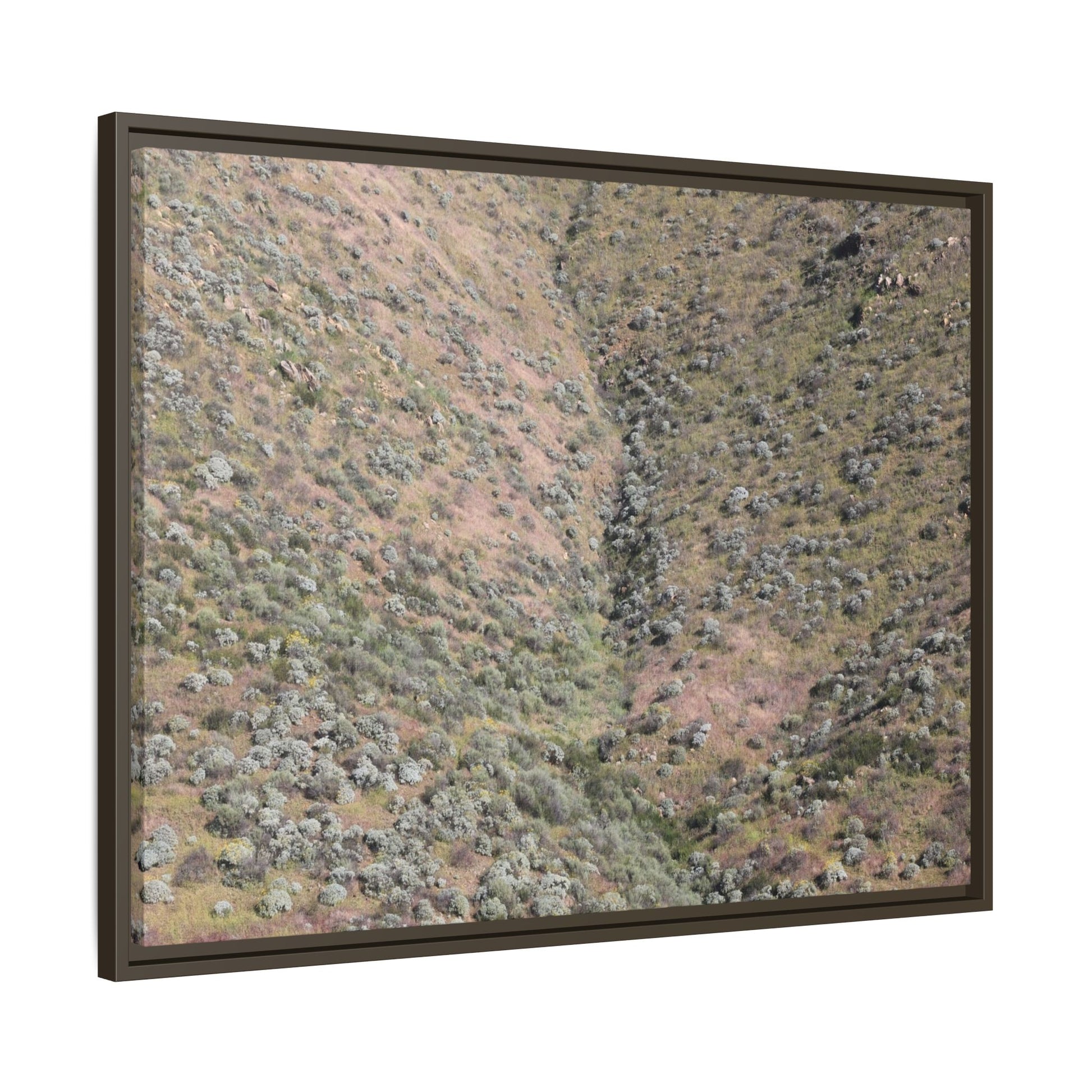 Mountain Slope with Desert Vegetation - Unique Stretched Canvas Wall Art - Art By Earth