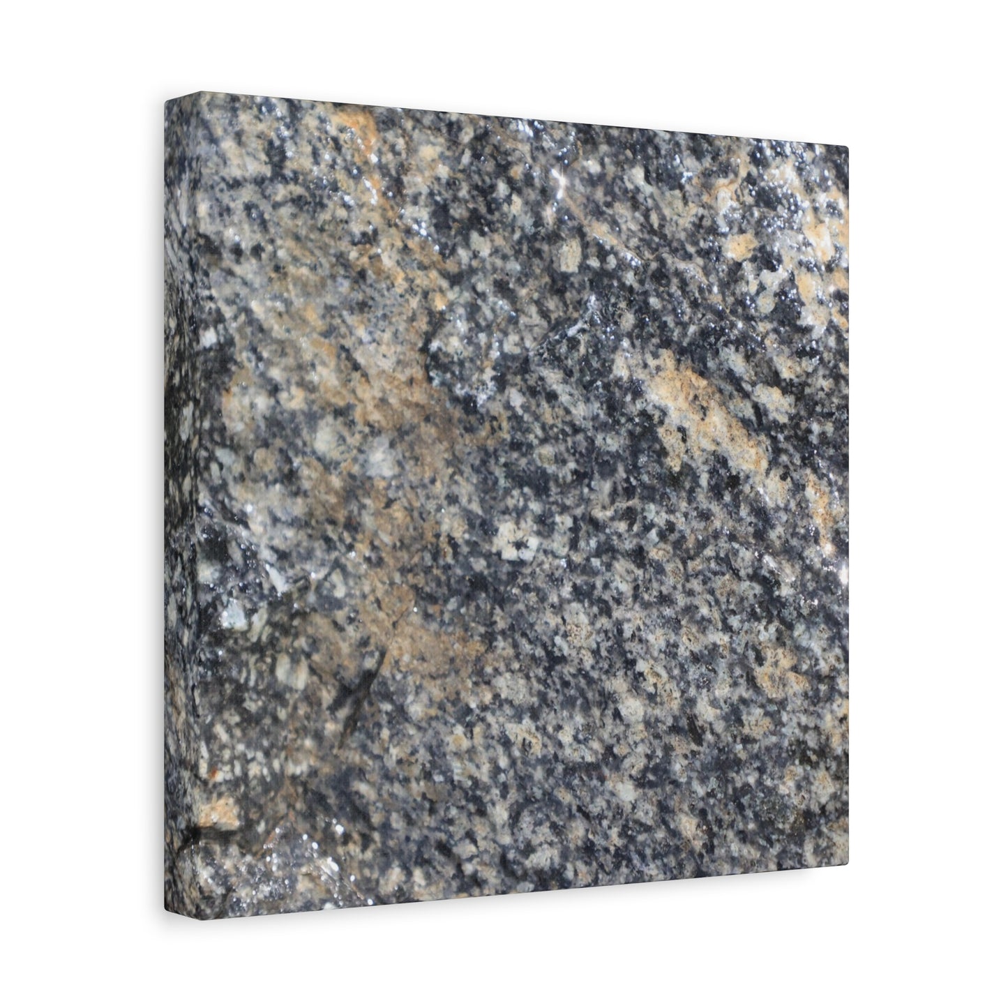 Metamorphic Memory - Unique Frameless Canvas Wall Art - Art By Earth