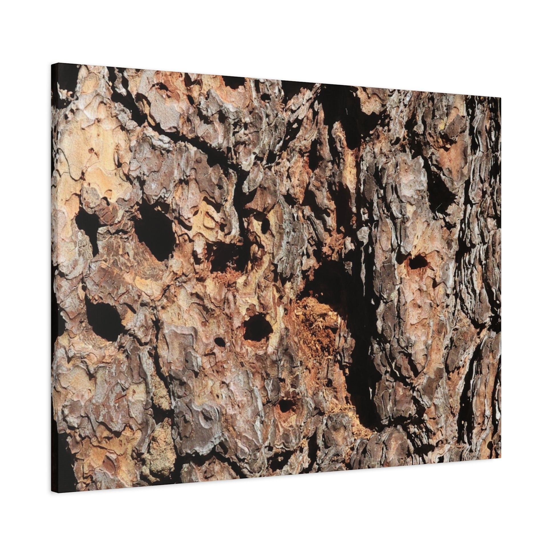 Tree Bark Mosaic - Unique Frameless Canvas Wall Art - Art By Earth